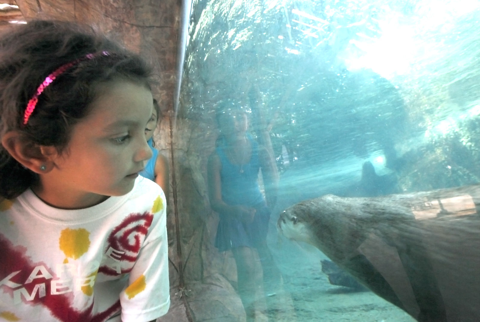 Zoo Feature